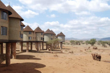 saltlick safari lodge