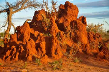 tsavo east national park