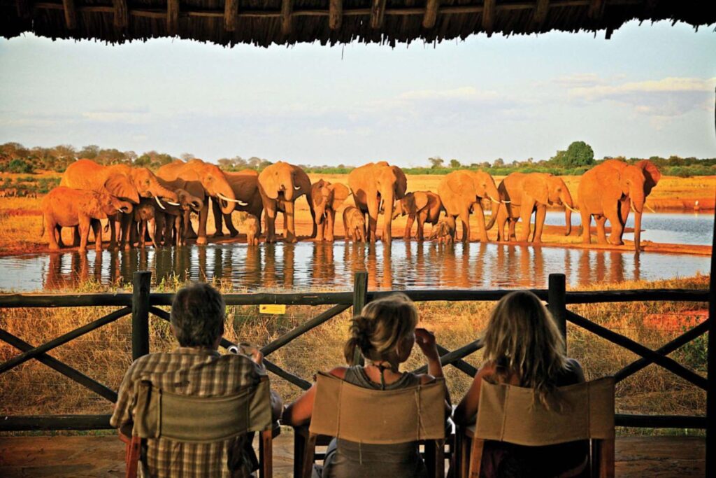 Voi Wildlife Tsavo Lodge
